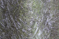 Mill Hills fibreglass roof work